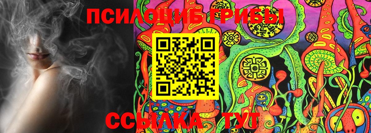 Псилоцибиновые грибы Cubensis Нефтекумск
